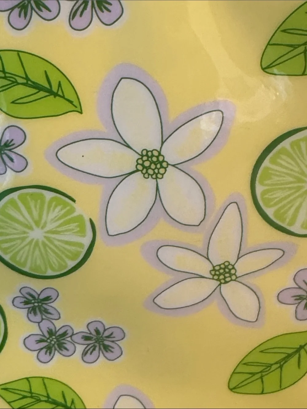 VTG 2006 Avon Naturals Lime Blossom Cosmetic Pouch Bag NWOT